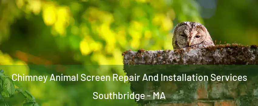 Chimney Animal Screen Repair And Installation Services Southbridge - MA